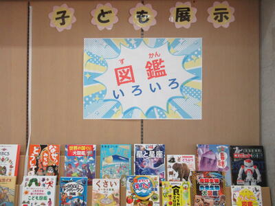 子ども展示「図鑑いろいろ」の展示写真
