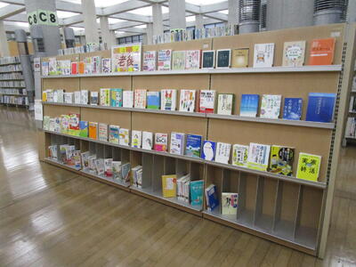 展示の様子
