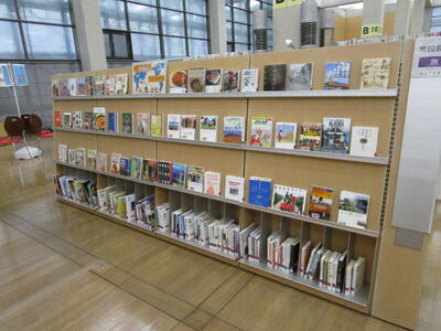 展示の様子