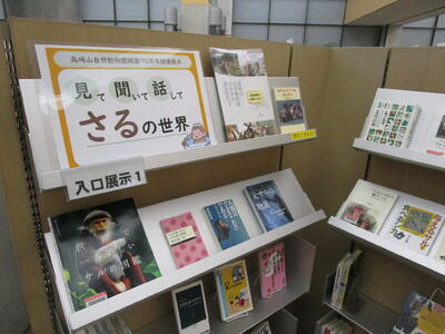 見て聞いて話してさるの世界の展示写真