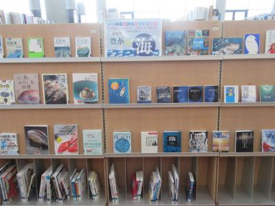 海の展示の様子