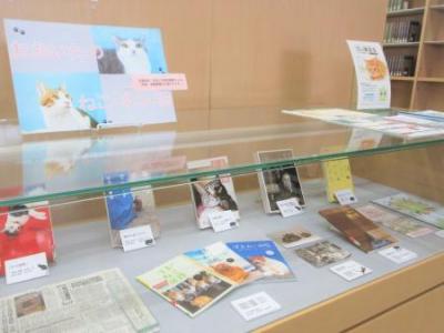 「大分のねこ・ネコ・猫」の展示写真